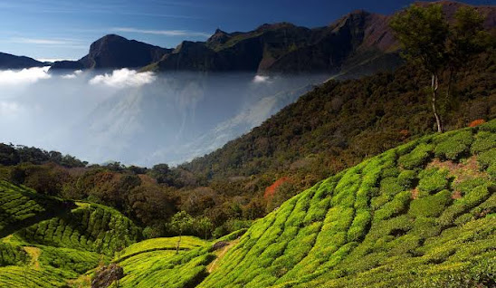 Munnar