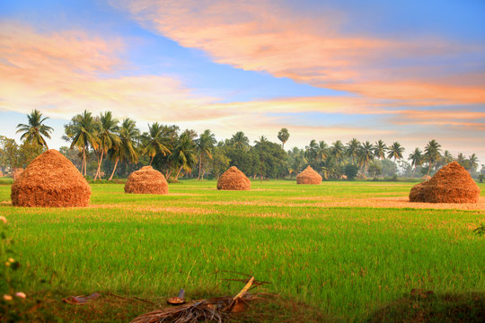 Andhra Pradesh