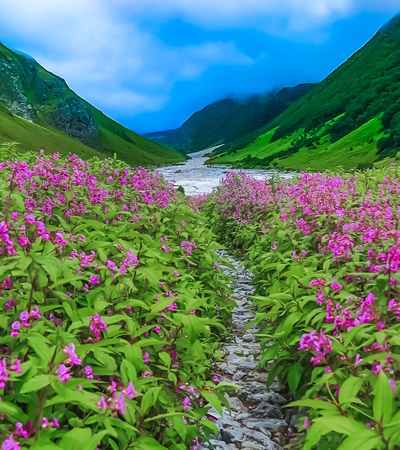 VALLEY OF FLOWERS TOUR 