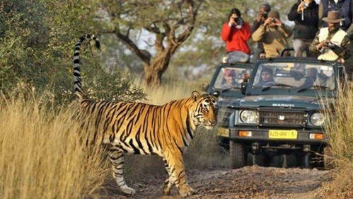 Jim Corbett National Park