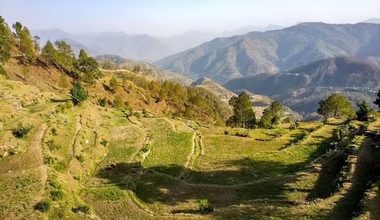 Ranikhet