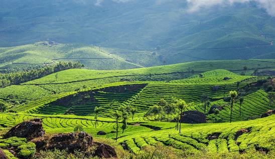 Munnar