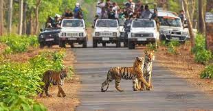 Jim Corbett National Park