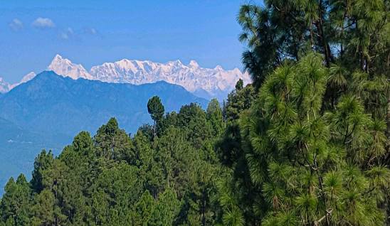 Ranikhet